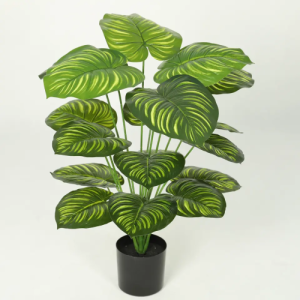 wholesale artificial calathea orbifolia pot.jpg